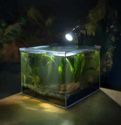 AddOne akvariesett m/ diamantglass