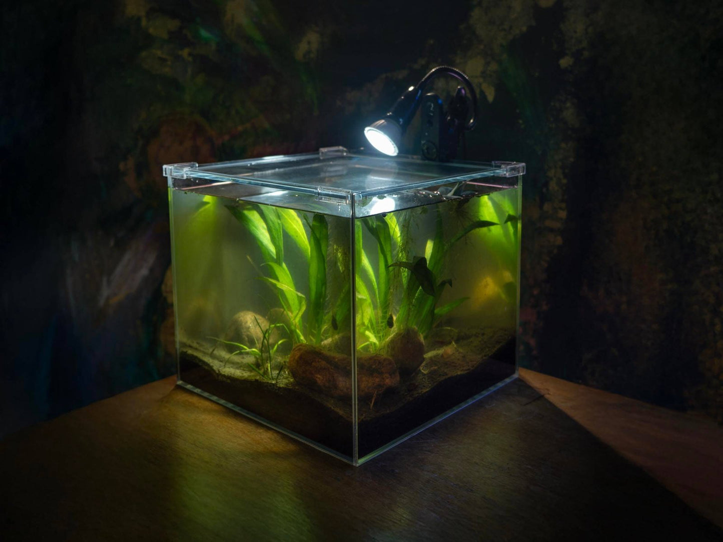 AddOne akvariesett m/ diamantglass