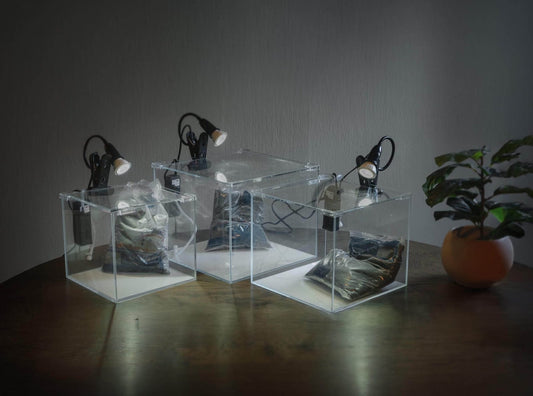 AddOne akvariesett m/ diamantglass